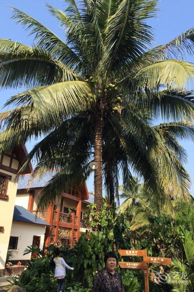 Hainan Bulongsai Resort Hotel Baoting Zewnętrze zdjęcie